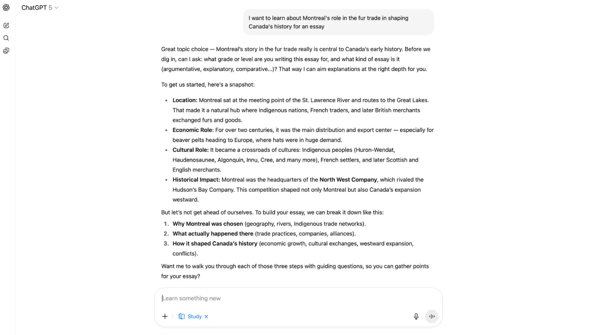 A ChatGPT response with many bullets and follow-up recommendations